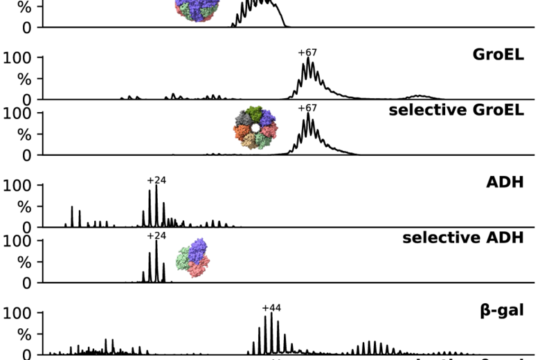 Native electrospray mass spectrometry can be used to deposit protein ions for cryoEM